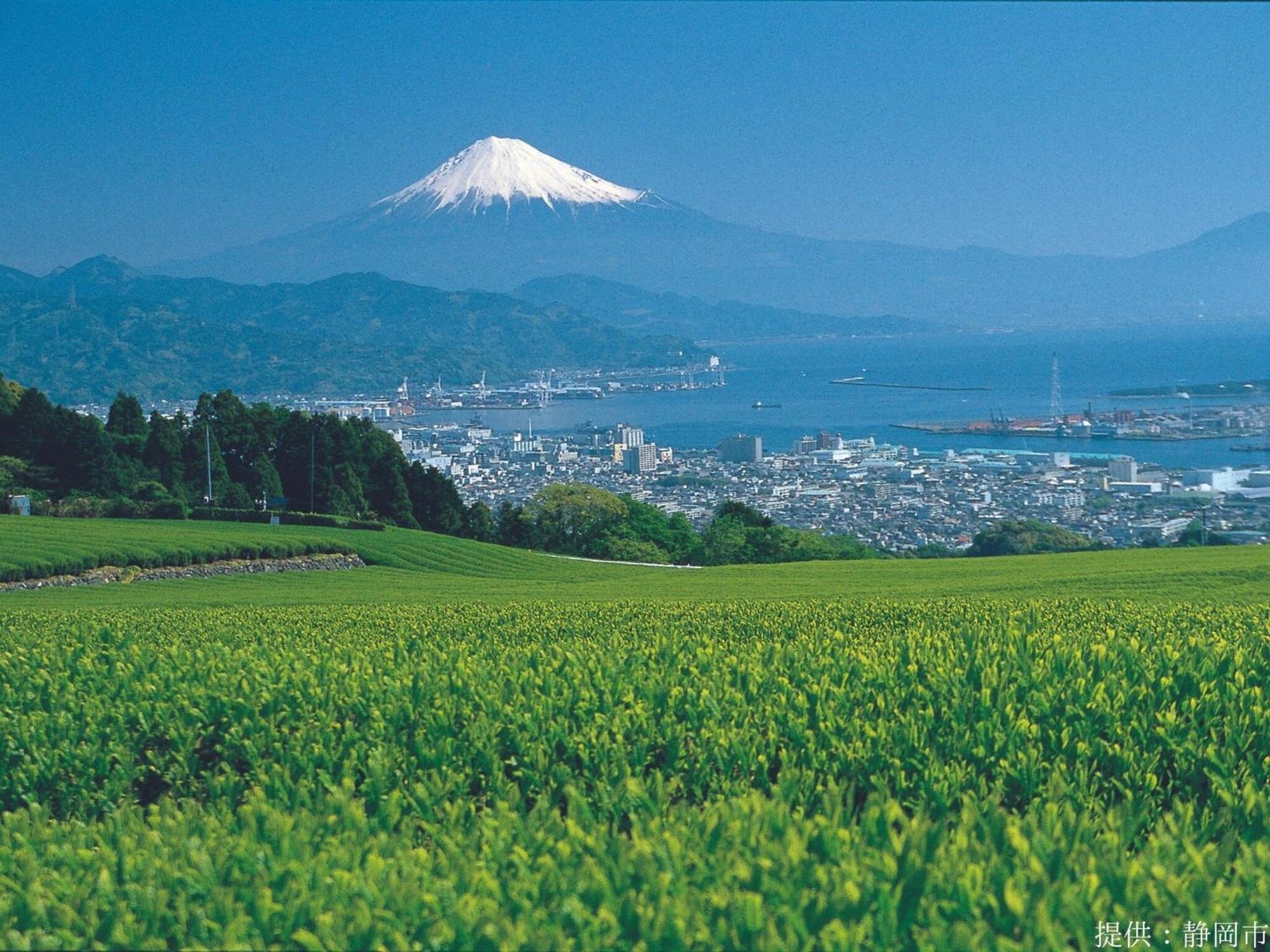 Hotel Wing International Shizuoka Eksteriør bilde